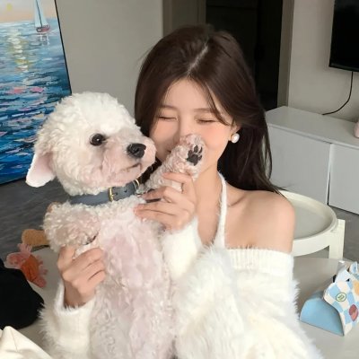 我的天才女友 第三季
